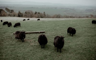 Kirsty + Matt, ‘Modern Rustic’ with lashings of style at Guardswell Farm, Perthshire