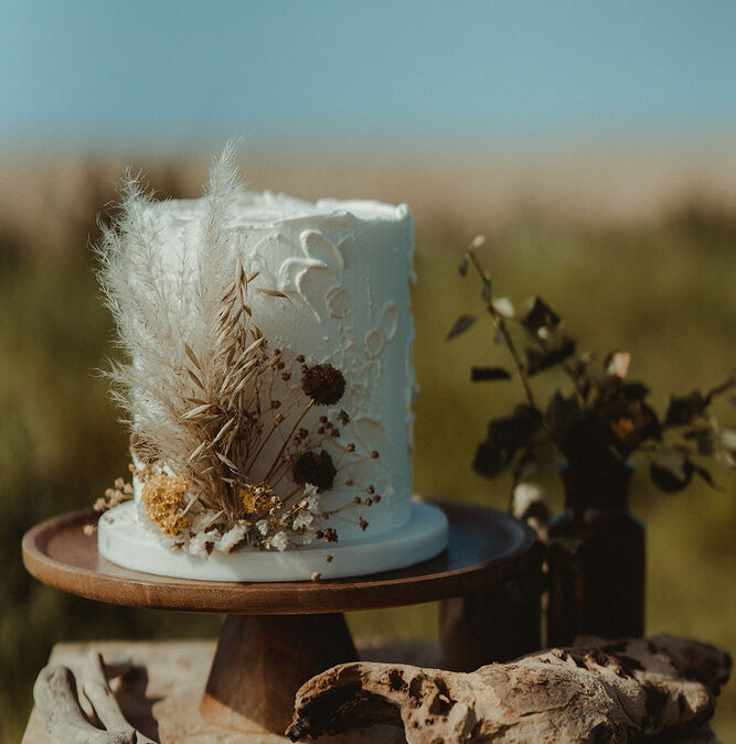 Butter and Bodoni wedding elopement cake with natural details and warm colours