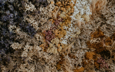 Islands and Installations – The adventures of the Gloam Commercial Team