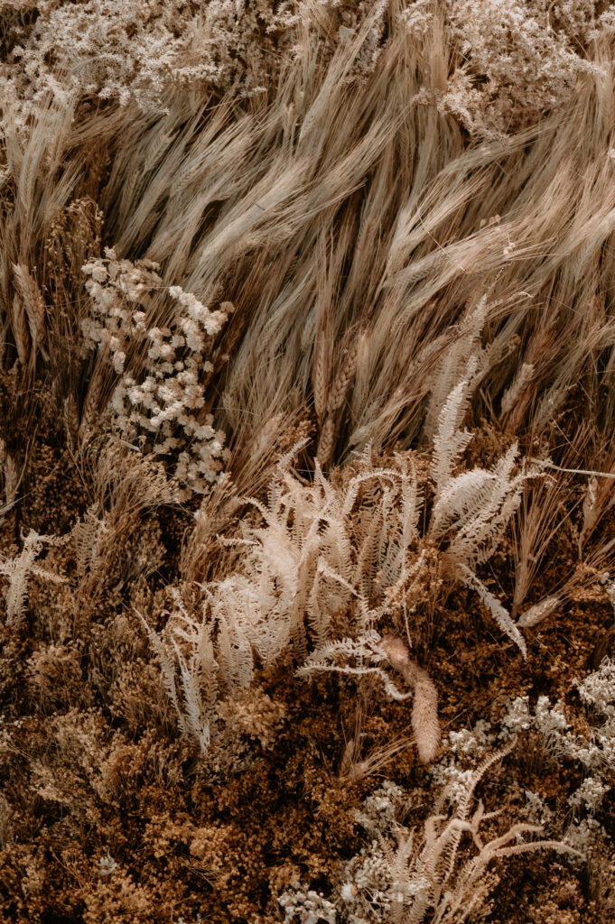 Close up of wild dried florals and grasses floral installation