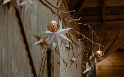 5 Reasons to get your business ready for Christmas