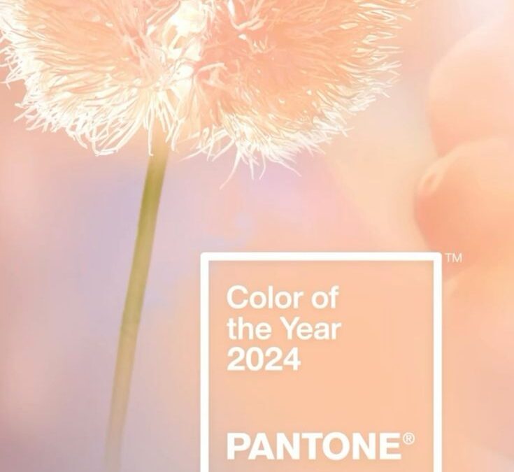 2024 Wedding Colour Trend: Peach Fuzz